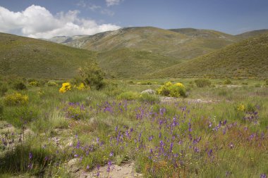 Dağların güzel manzarası. 