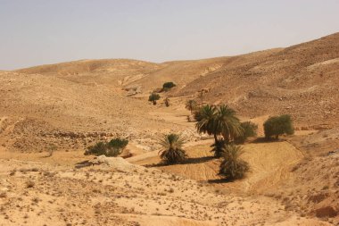 Çölün manzarası, Fas