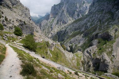 Alplerdeki dağ nehrinin güzel manzarası