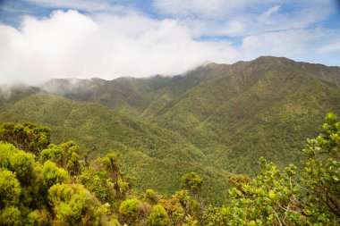 Dağların güzel manzarası