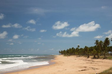 Güneş, deniz, palmiye ağaçları ve ıssız ve el değmemiş tropik bir sahilde kum.