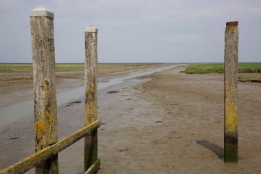 Çamurdaki ahşap çit