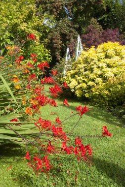 Yazın güzel bahçe manzarası