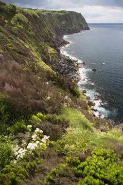 Güzel deniz manzarası