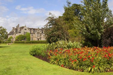 Güzel botanik fotoğrafı, doğal duvar kağıdı.