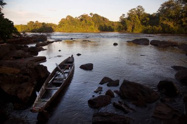Parktaki nehrin güzel manzarası