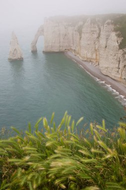 Deniz kıyısının güzel manzarası