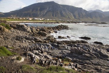 Dağların güzel manzarası