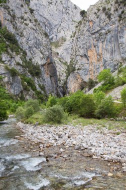 Dağlardan akan nehir