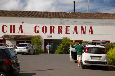 Sao Miguel adasındaki Gorreana çay fabrikası, Azores, Portekiz