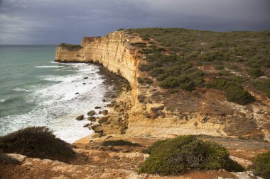 Deniz kıyısının güzel manzarası