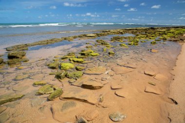 Yeşil taşlı güzel sahil manzarası