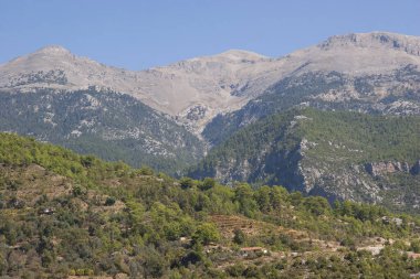 Tipik engebeli dağ yaban hayatı.