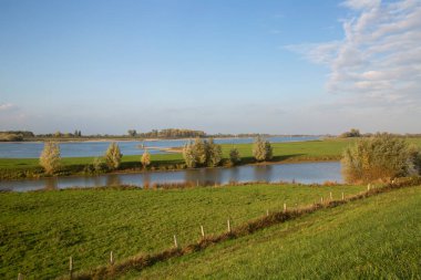 Nehirli güzel bir manzara