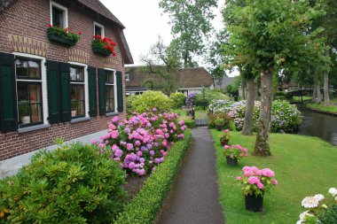 Hollanda 'daki Giethoorn köyünün sakin manzarası