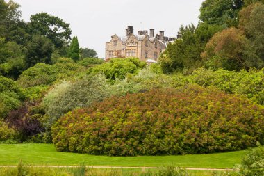 Güzel şato mimarisinin manzarası.
