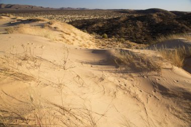 Çölün güzel manzarası