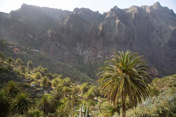 Dağların güzel manzarası