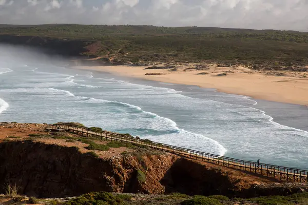Kayalık bir okyanusun ve sahil kayalıklarının dikey görüntüsü.