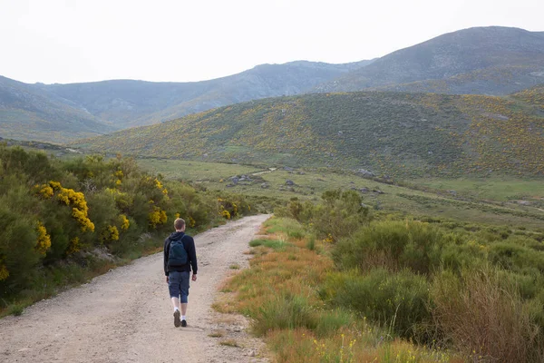 Jovem Com Uma Mochila Caminhando Nas Montanhas — Fotografia de Stock