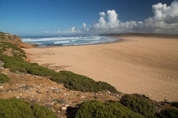 Sahilin güzel manzarası