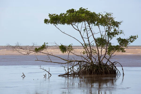 Suyun ortasında güzel bir göl görüntüsü.