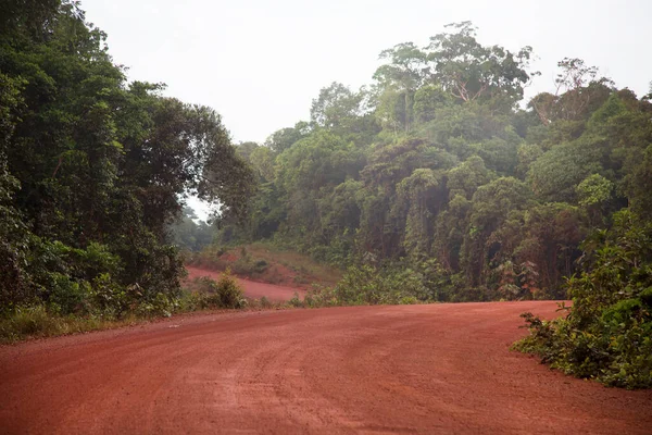 Tipik Amazon kırsal kesimlerinde orman boksit yolu çakıl, çukur ve tümseklerle