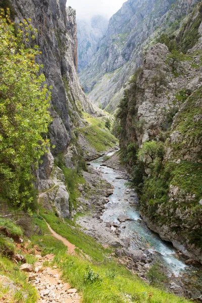 Dağlardaki dağ nehri