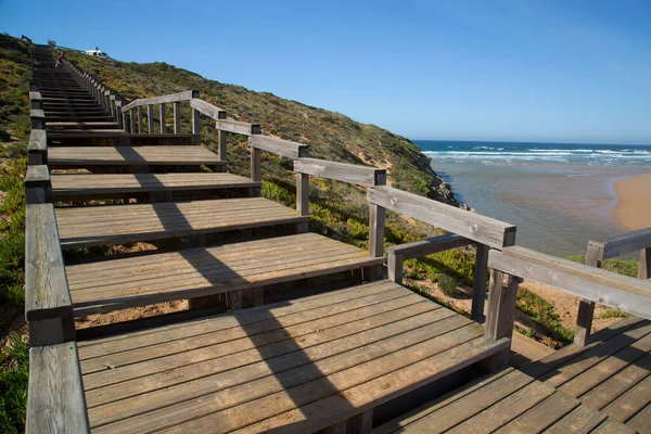 Escada Madeira Colina Verde Com Vista Para Praia — Fotografia de Stock