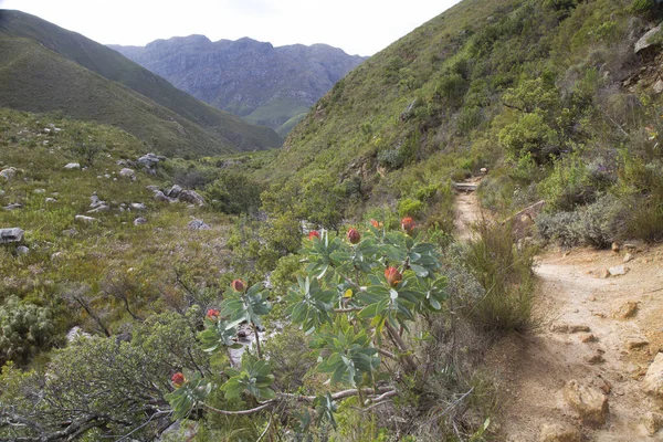 Dağları ve mavi gökyüzü olan güzel bir manzara. 