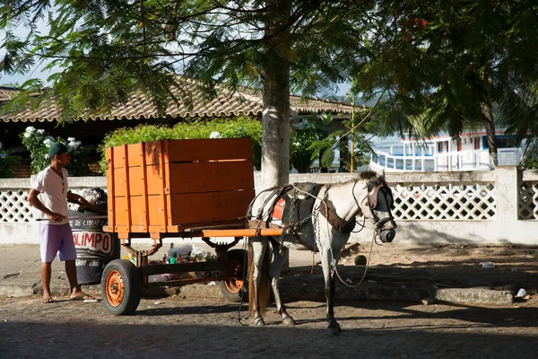 Homem Com Carruagem Cavalo Luz Solar Brilhante — Fotografia de Stock