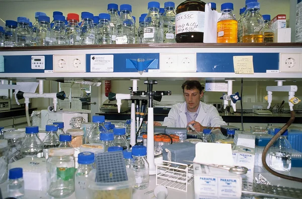 Scientist Working Laboratory — Stock Photo, Image