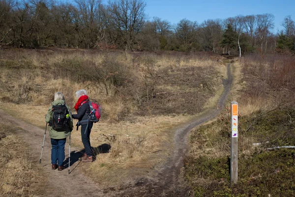 Dağlarda bir grup yürüyüşçü 