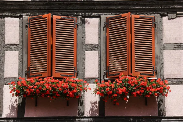 Fönster Med Blommor Och Växter — Stockfoto