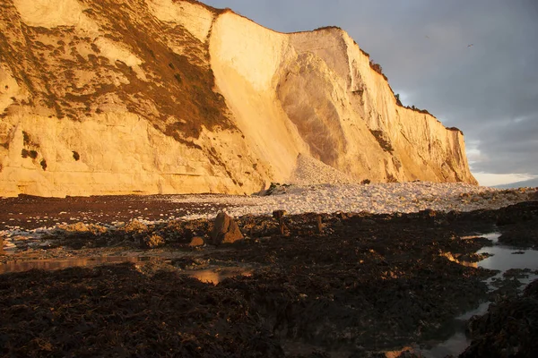 Deniz kıyısının güzel manzarası