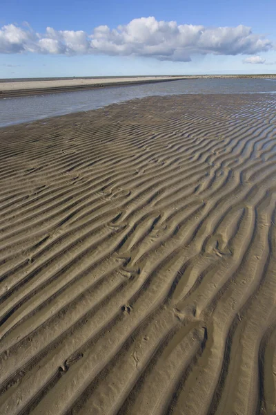 Gündüz vakti kıyı şeridinin manzarası