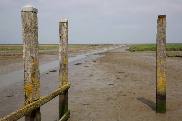 Çamurdaki ahşap çit