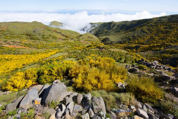 Dağların güzel manzarası