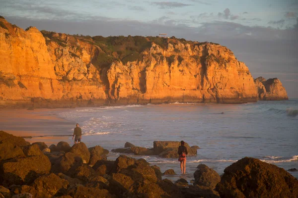 Kayalık kıyılar, kayalıklar ve kayalar denizlerde