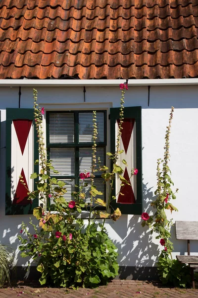 Casa Con Ventana Flor — Foto de Stock