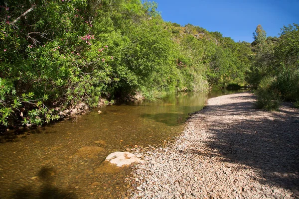 Nehrin üzerinde yemyeşil ağaçlar ve mavi gökyüzü