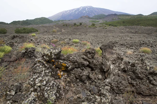 Vulkanische Rotsen Een Prachtige Bergachtige Omgeving — Stockfoto