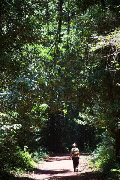 Sırt çantalı bir kadın ormanda yürüyor.