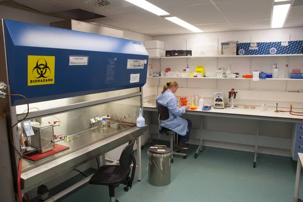 Scientists Working Research Lab — Stock Photo, Image