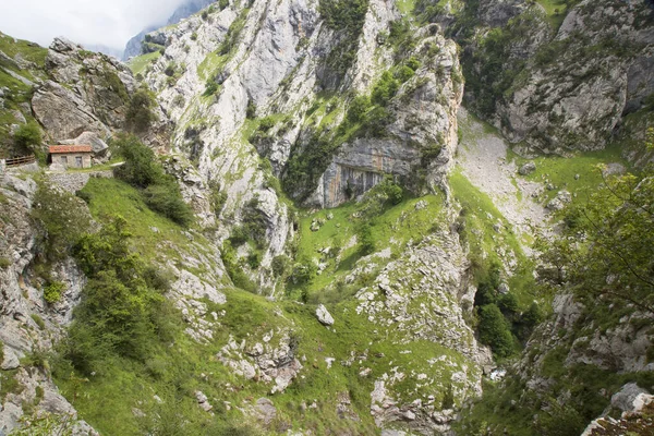 Dağların güzel manzarası