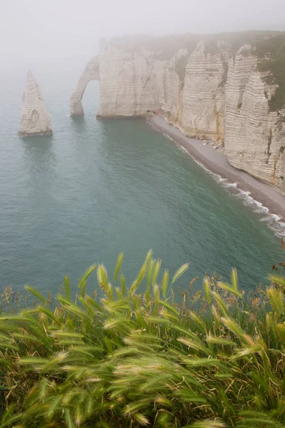 Deniz kıyısının güzel manzarası