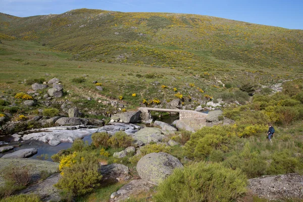Dağların güzel manzarası. 