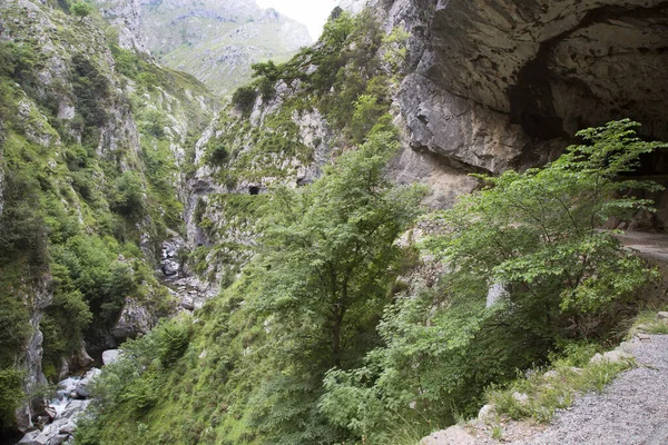 Dağların güzel manzarası