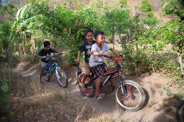Doğada bisiklet süren mutlu Asyalı çocuklar, seyahat çekimleri.
