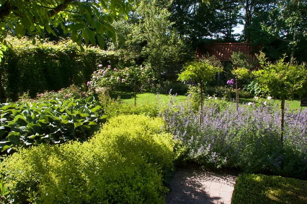 Vacker Trädgård Sommaren — Stockfoto